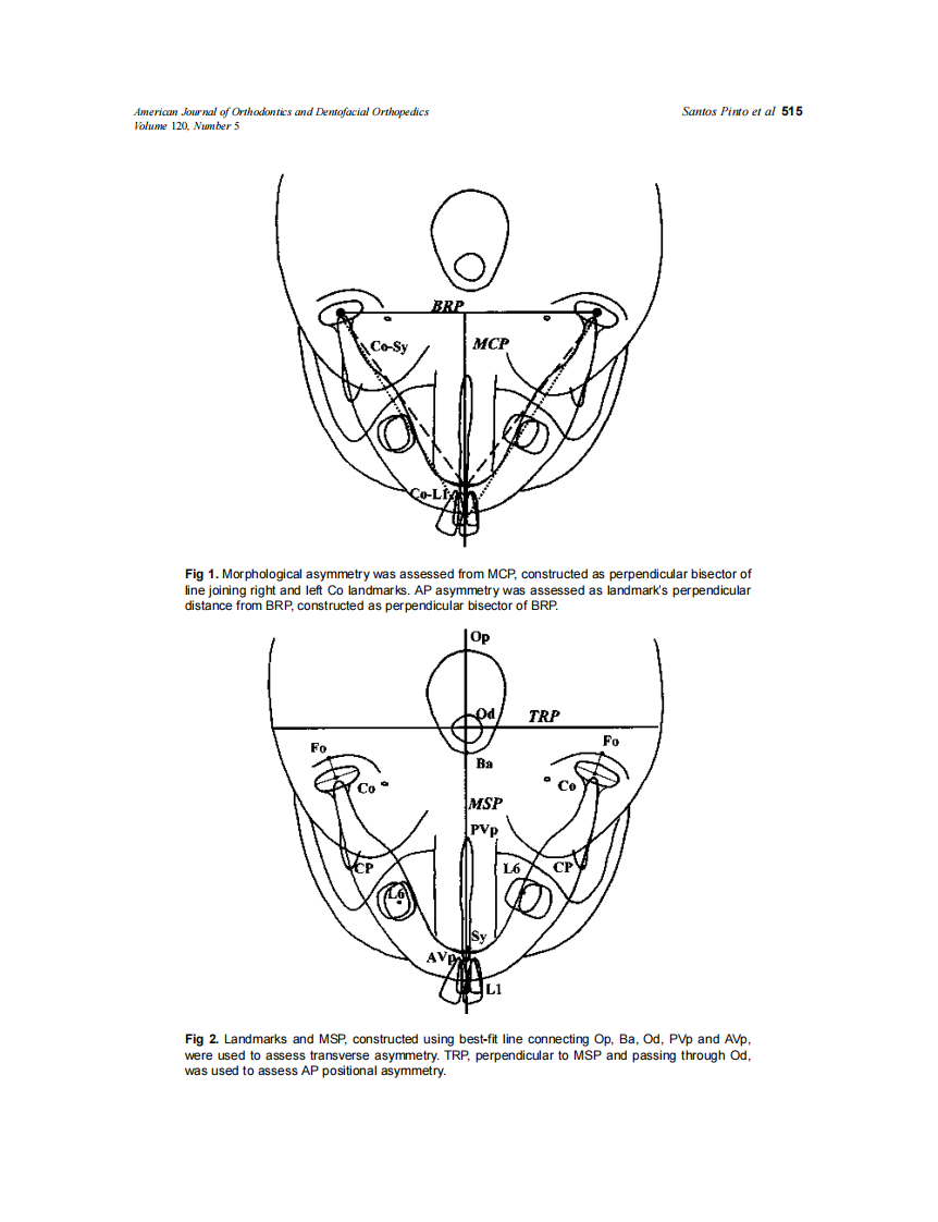 2001_120_5_513_520_Pinto.pdf 第3页