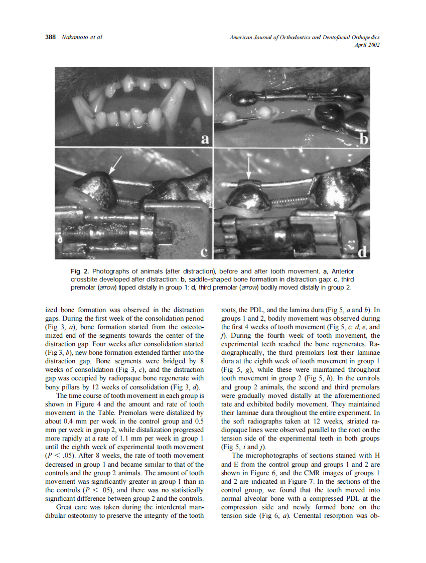2002_121_4_385_395_Nakamoto.pdf 第4页