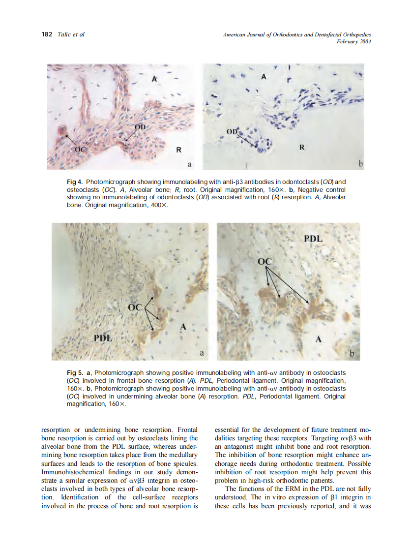 2004_125_2_178_184_Talic.pdf 第5页
