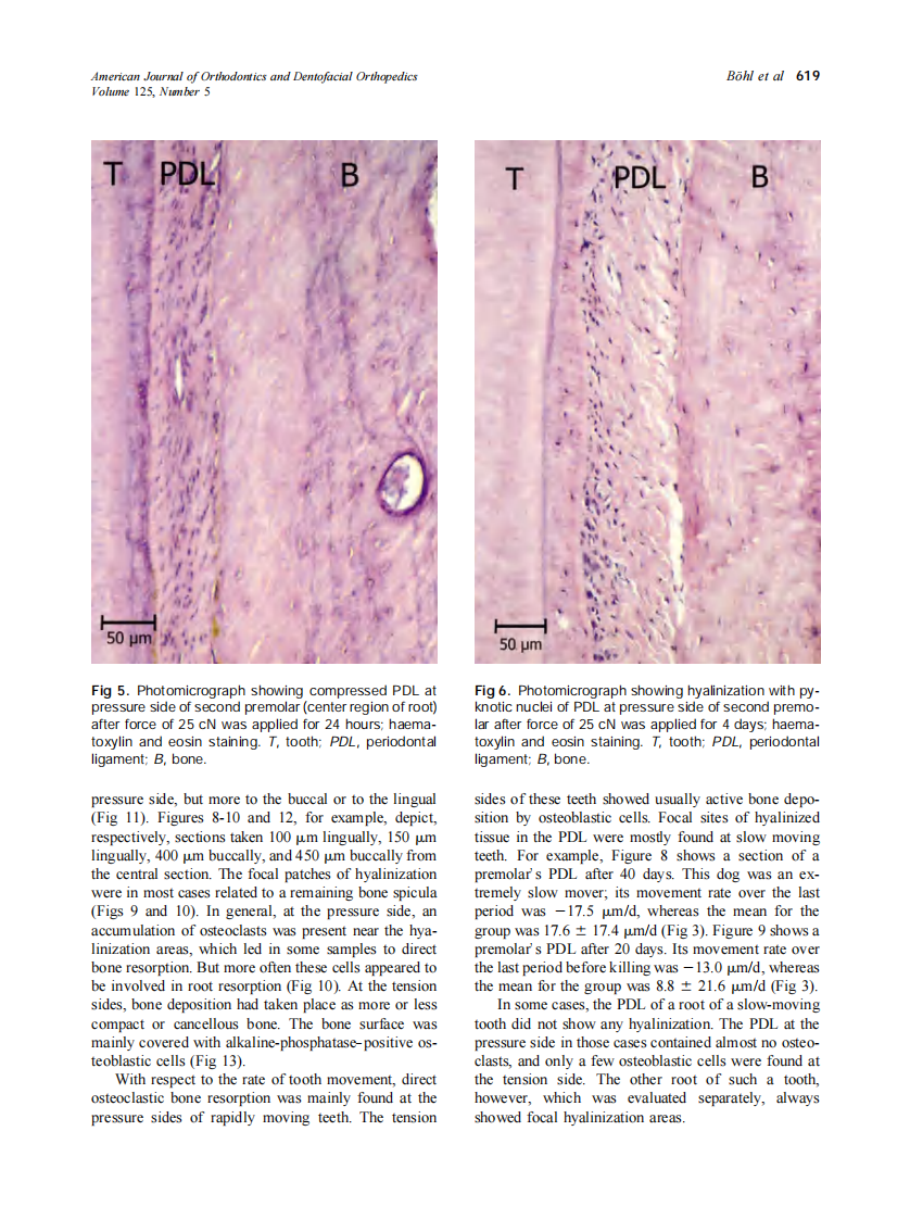 2004_125_5_615_623_Bohl.pdf 第5页