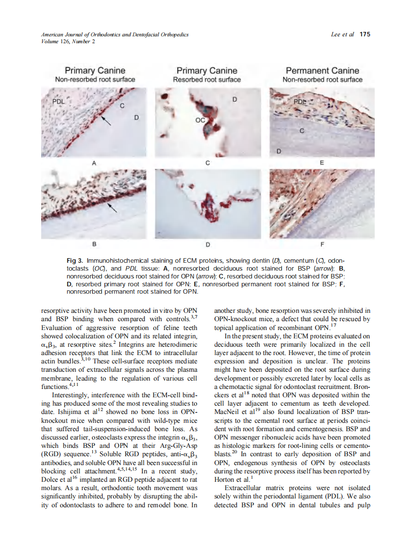 2004_126_2_173_177_Lee.pdf 第3页