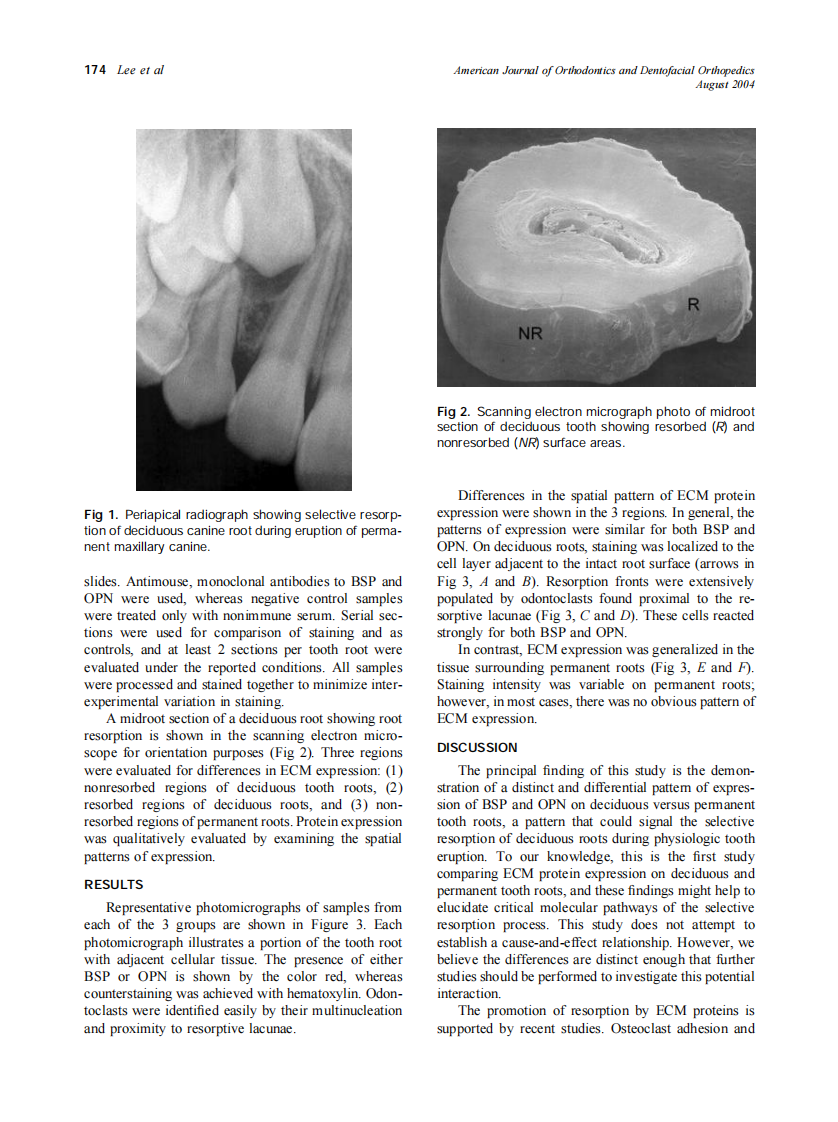 2004_126_2_173_177_Lee.pdf 第2页
