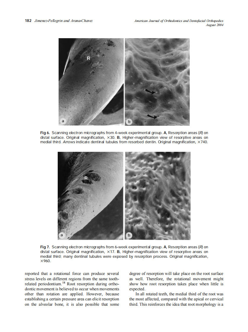 2004_126_2_178_184_Jimenez-Pellegrin.pdf 第5页