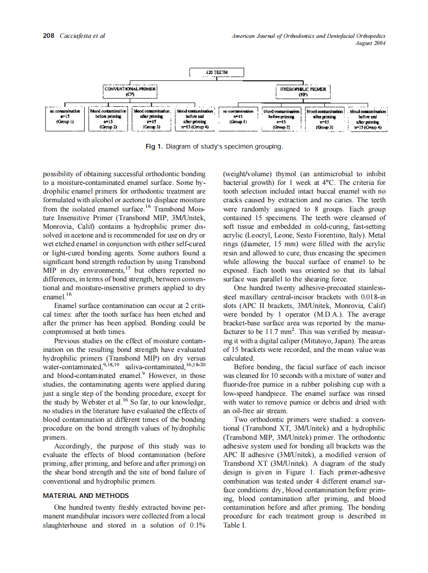 2004_126_2_207_212_Cacciafesta.pdf 第2页