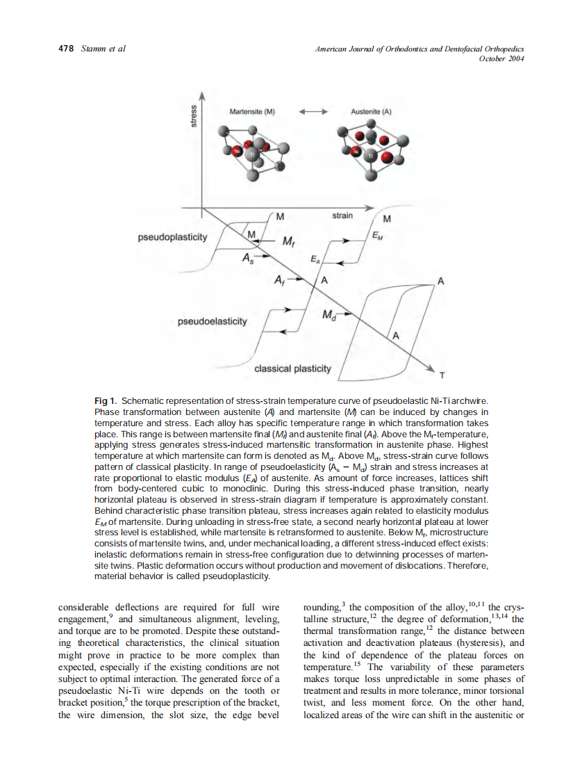 2004_126_4_476_484_Stamm.pdf 第2页