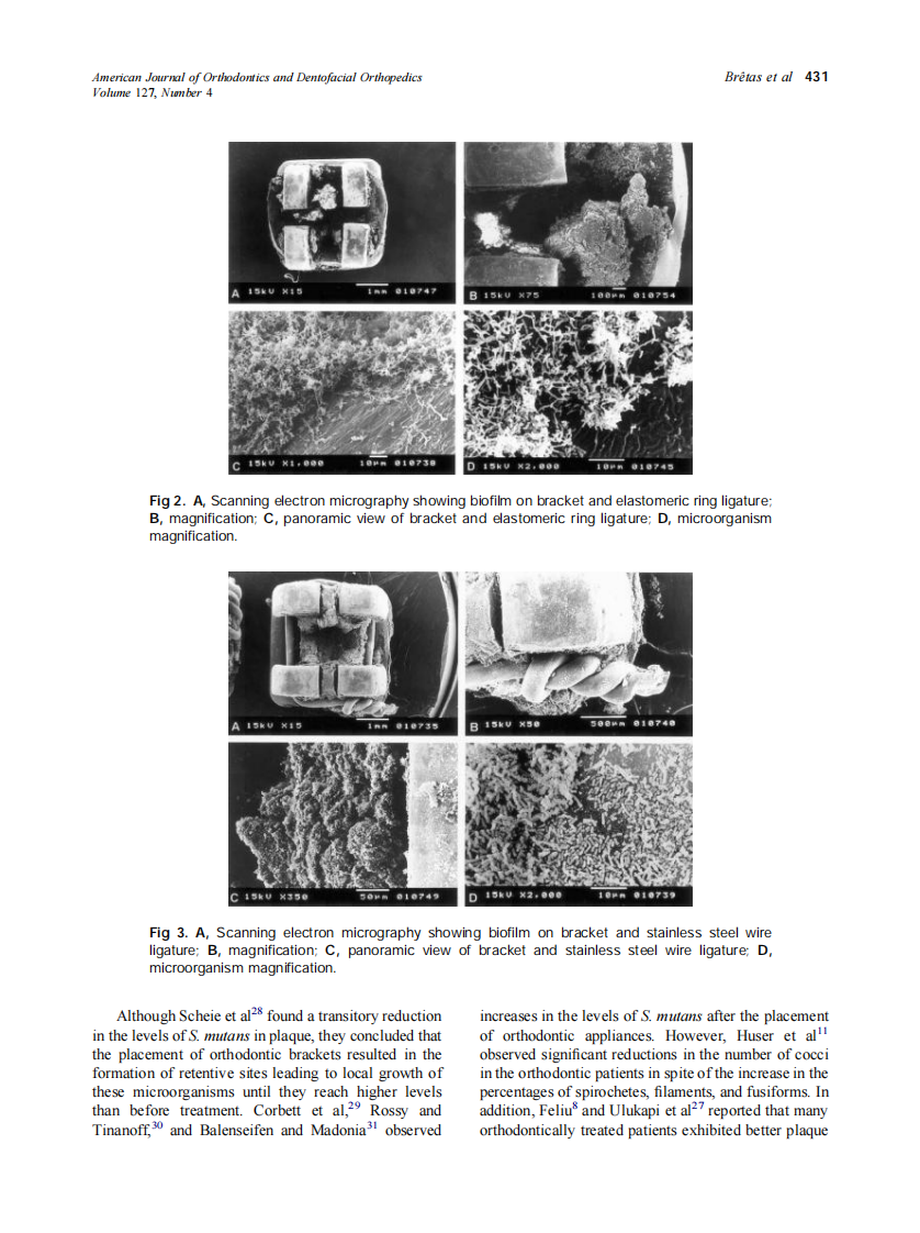 2005_127_4_428_433_Bretas.pdf 第4页