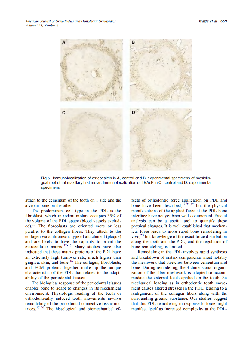 2005_127_6_655_661_Wagle.pdf 第5页