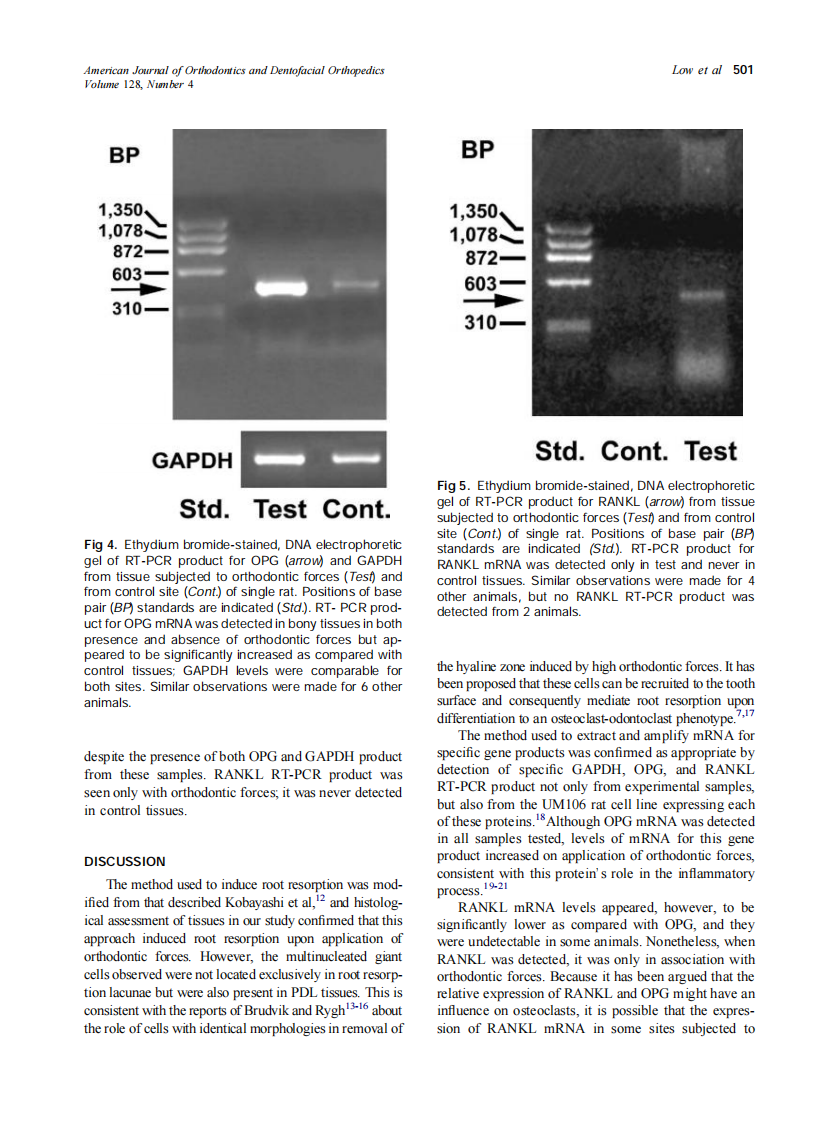 2005_128_4_497_503_Low.pdf 第5页