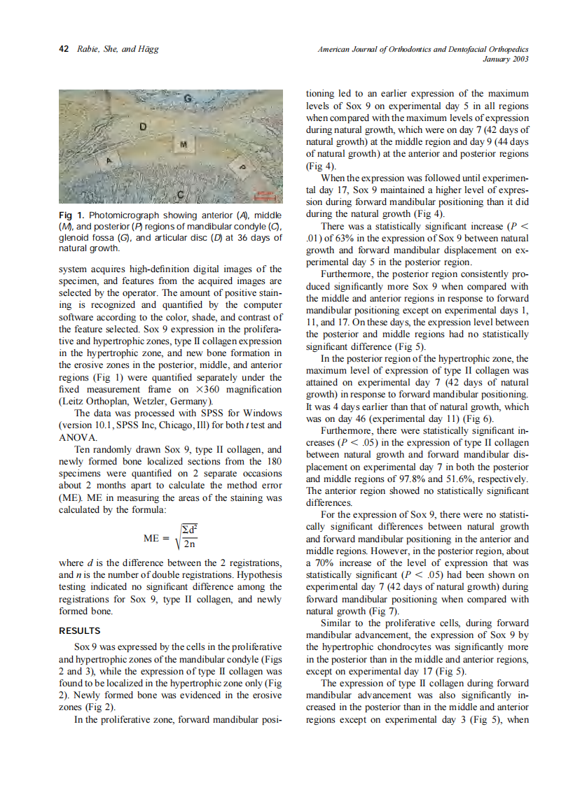 2003_123_1_40_48_Rabie.pdf 第3页