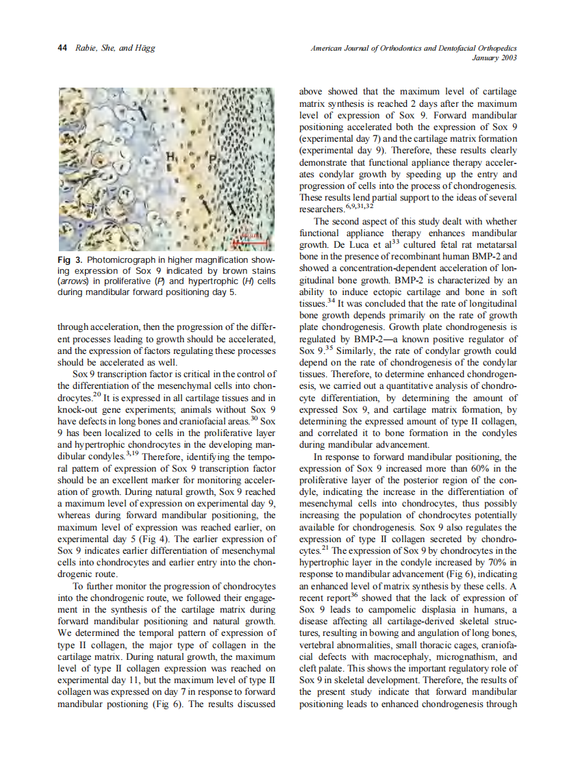 2003_123_1_40_48_Rabie.pdf 第5页