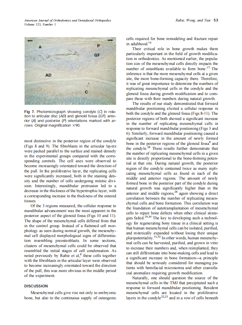 2003_123_1_49_57_Rabie.pdf 第5页