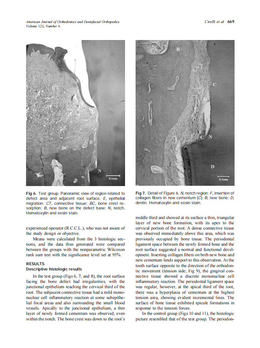 2003_123_6_666_673_Cirelli.pdf 第4页