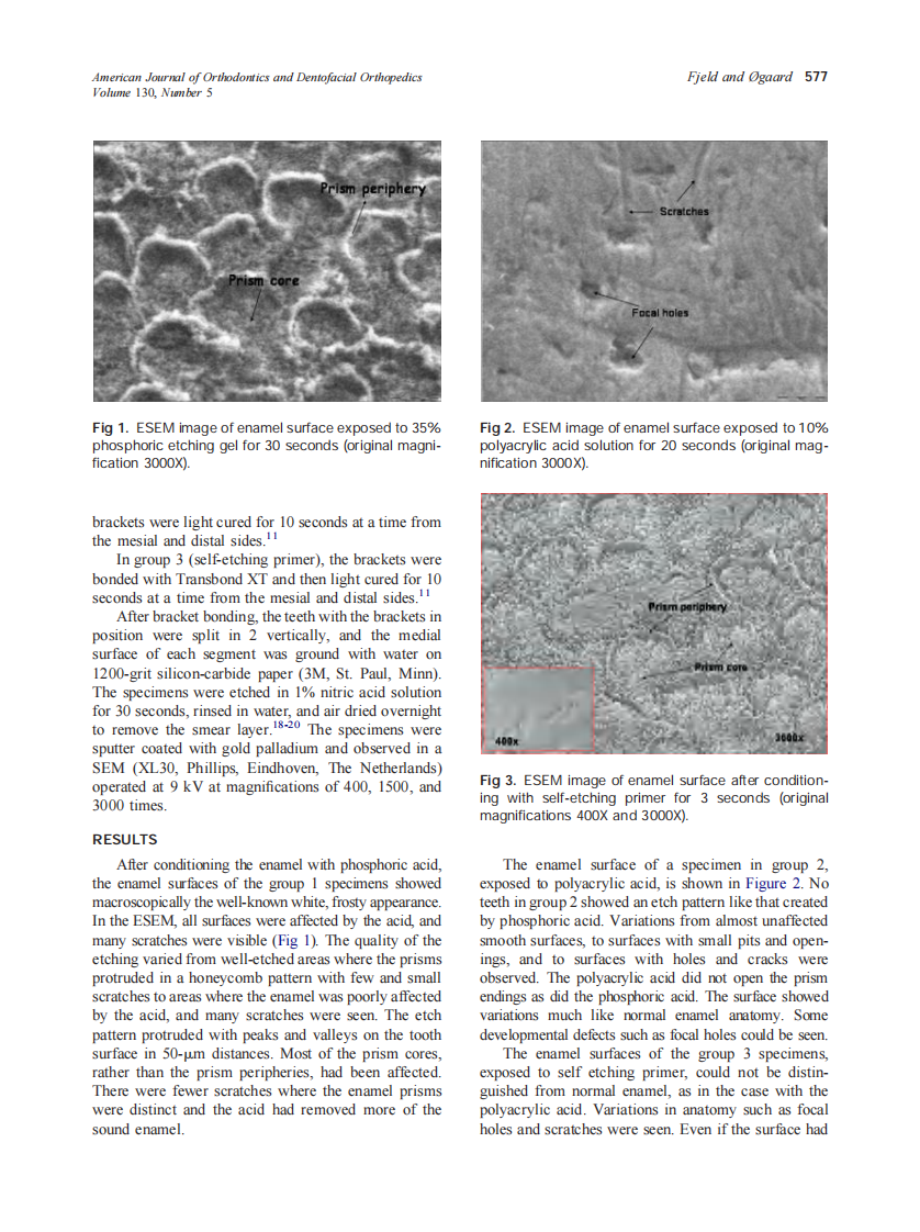 2006_130_5_575_581_Fjeld.pdf 第3页
