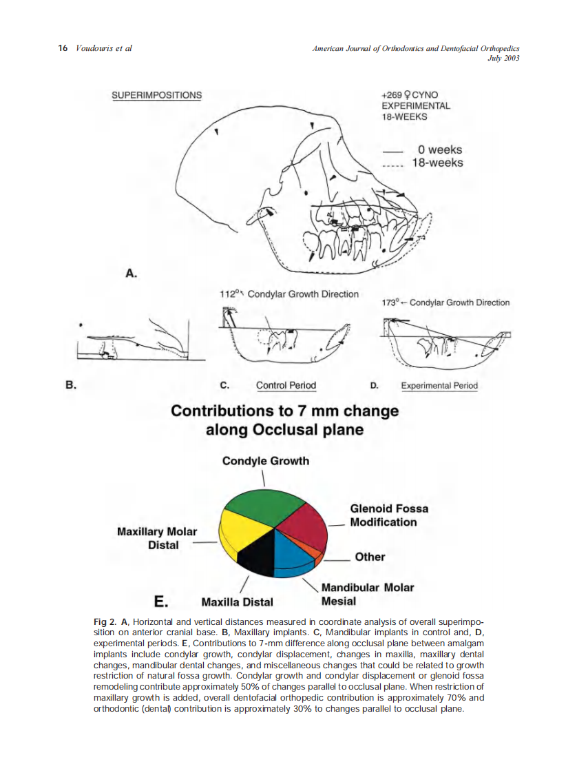 2003_124_1_13_29_Voudouris.pdf 第4页
