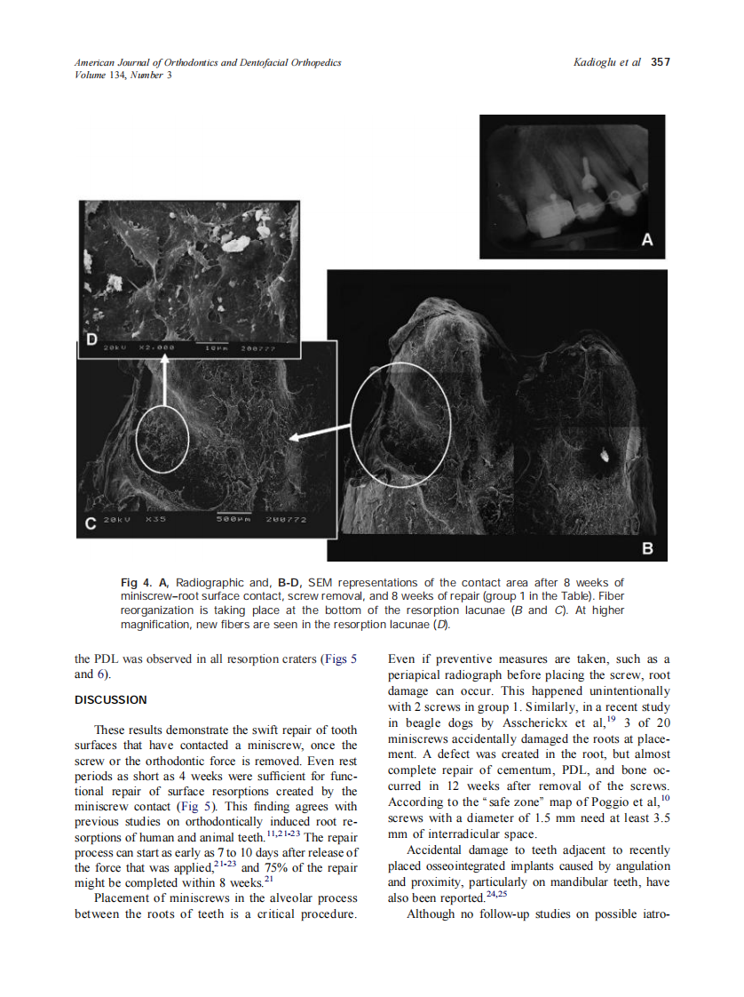 2008_134_3_353_360_Kadioglu.pdf 第5页