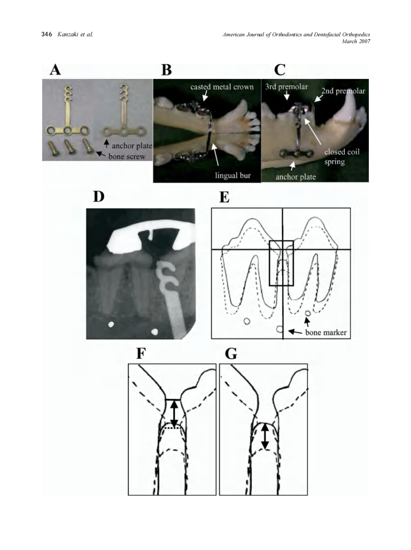 2007_131_3_343_351_Kanzaki.pdf 第4页