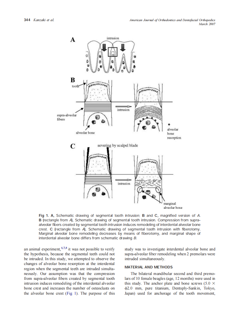 2007_131_3_343_351_Kanzaki.pdf 第2页