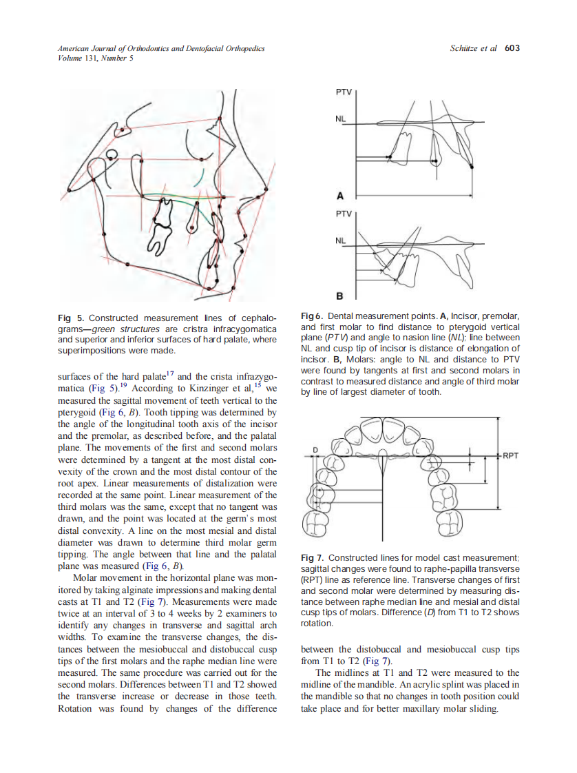 2007_131_5_600_608_Schutze.pdf 第4页