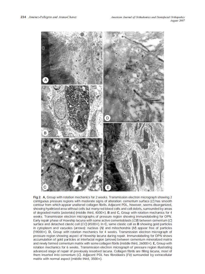 2007_132_2_230_236_Jimenez-Pellegrin.pdf 第5页