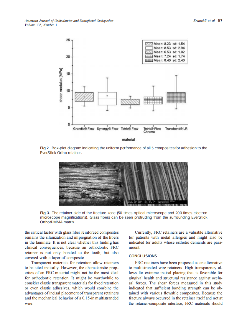 2009_135_1_54_58_Brauchli.pdf 第4页