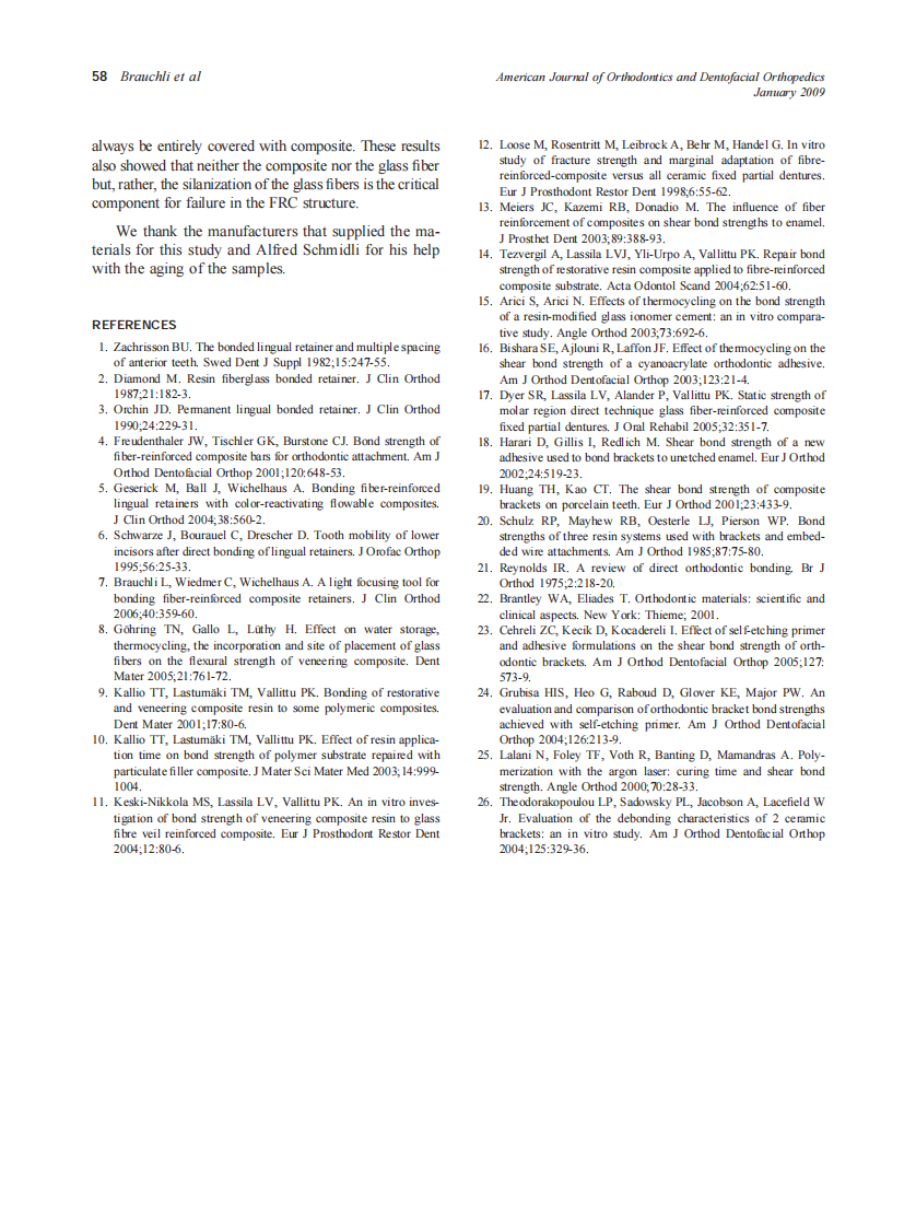 2009_135_1_54_58_Brauchli.pdf 第5页