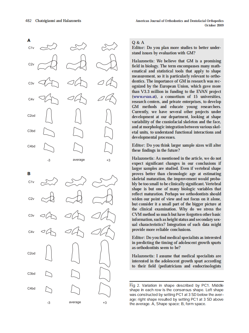 Chatzigianni_2009_American-Journal-of-Orthodontics-and-Dentofacial-Orthopedics.pdf 第2页