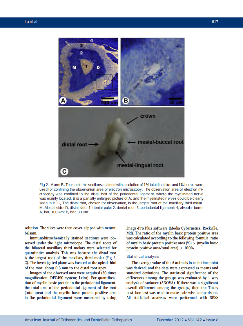 1-s2.0-S0889540612008128-main.pdf 第4页