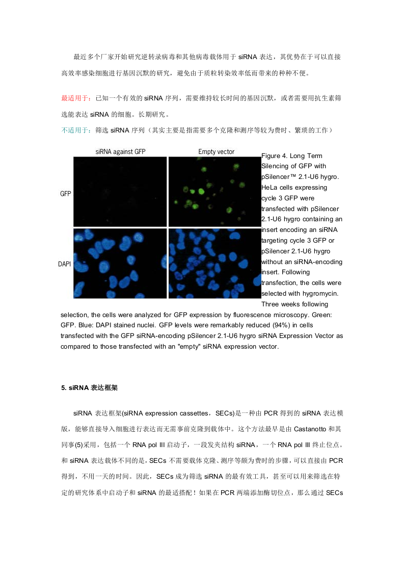 RNAi制备siRNAs的方法.doc 第5页