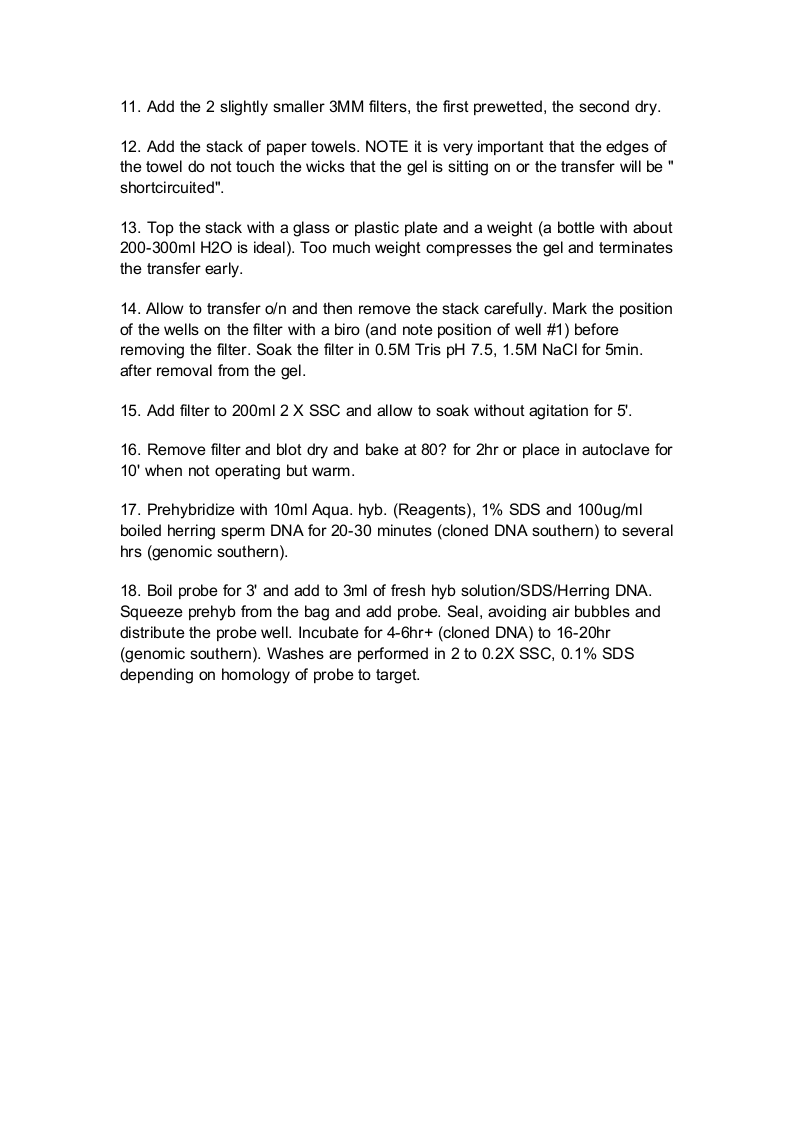 Southern杂交技术.doc 第2页