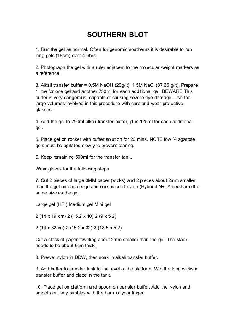 Southern杂交技术.doc 第1页