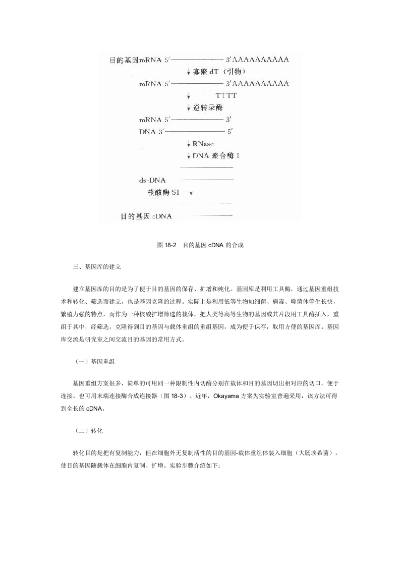 分子生物学实验基础知识.doc 第4页