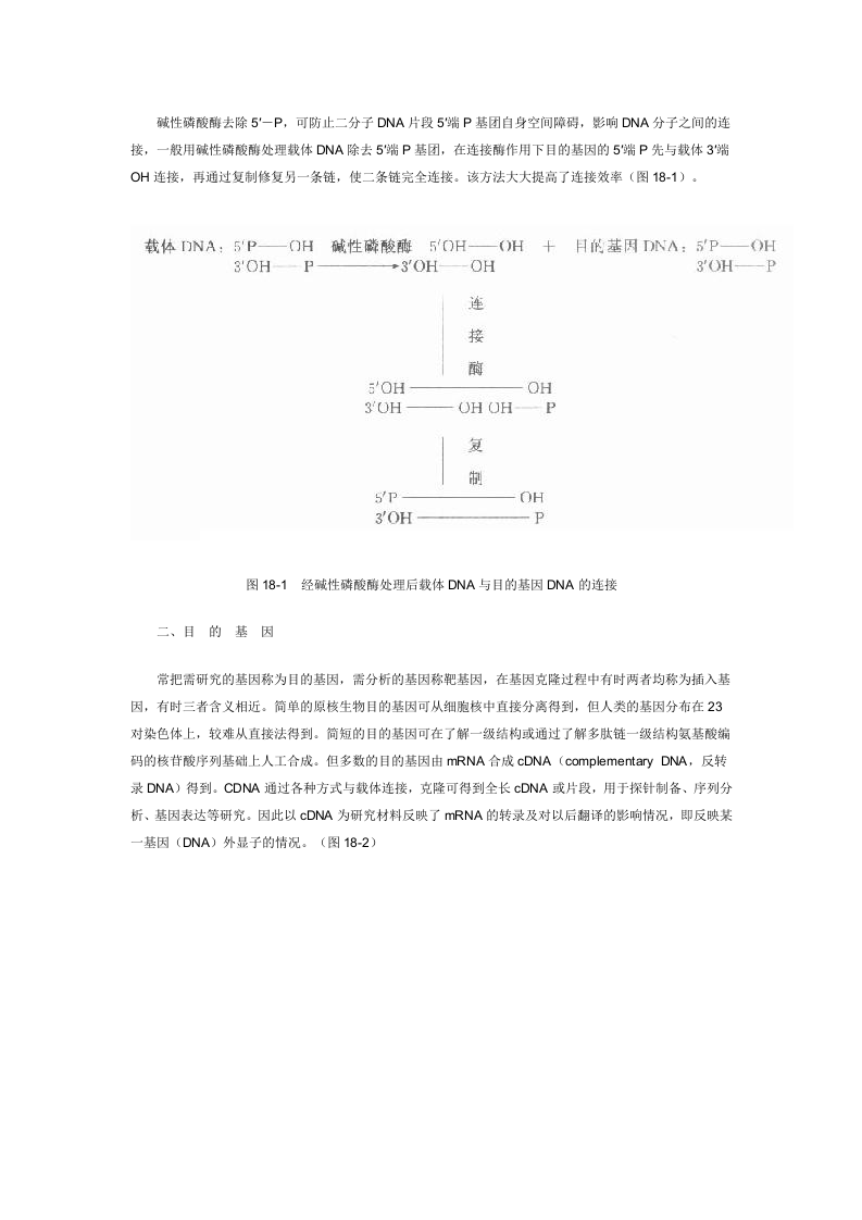 分子生物学实验基础知识.doc 第3页