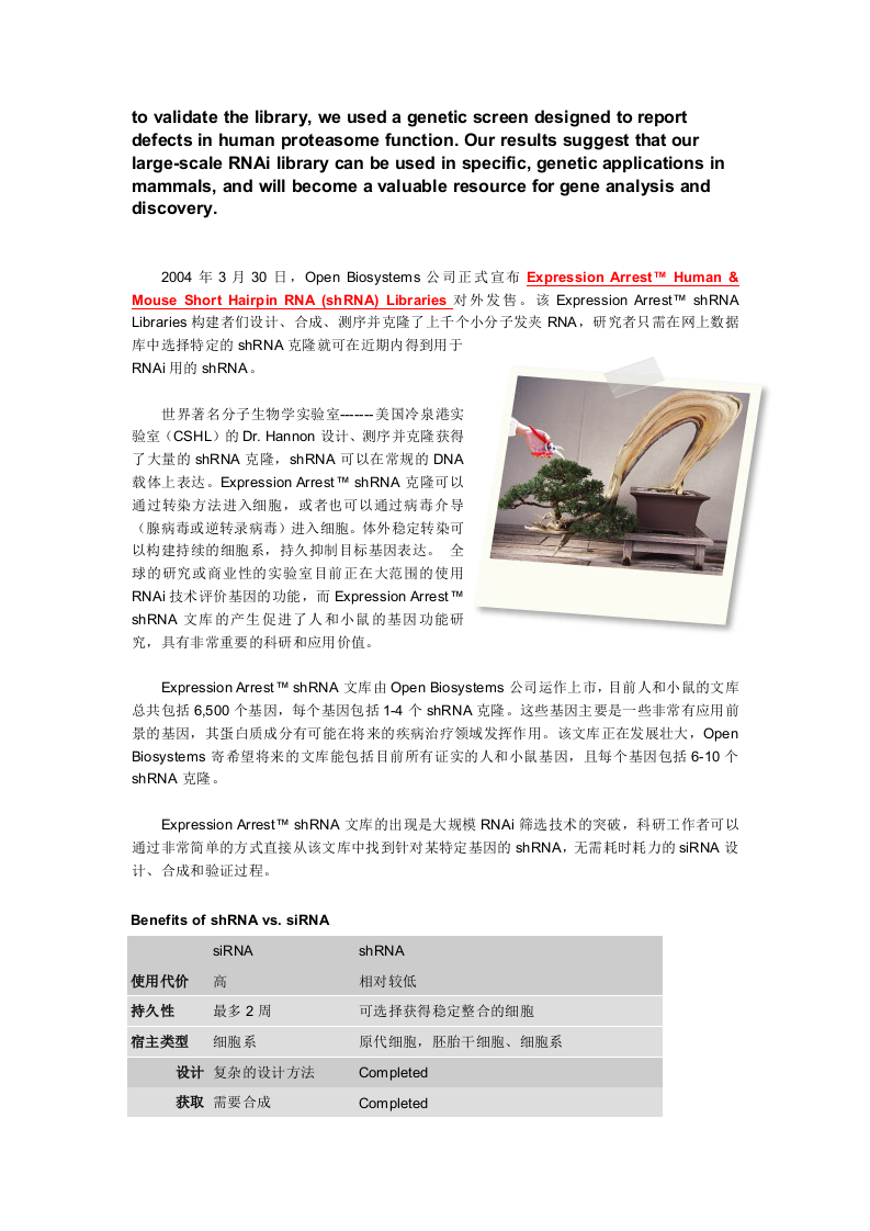 人和小鼠shRNA文库.doc 第2页