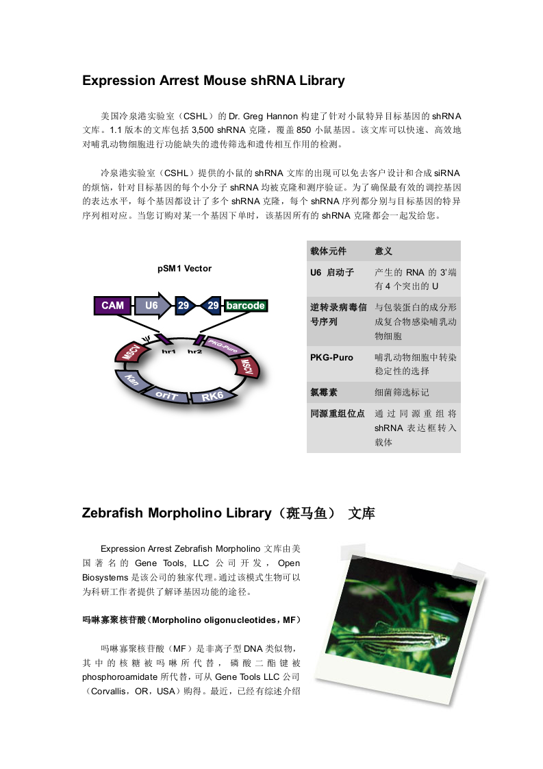 人和小鼠shRNA文库.doc 第4页