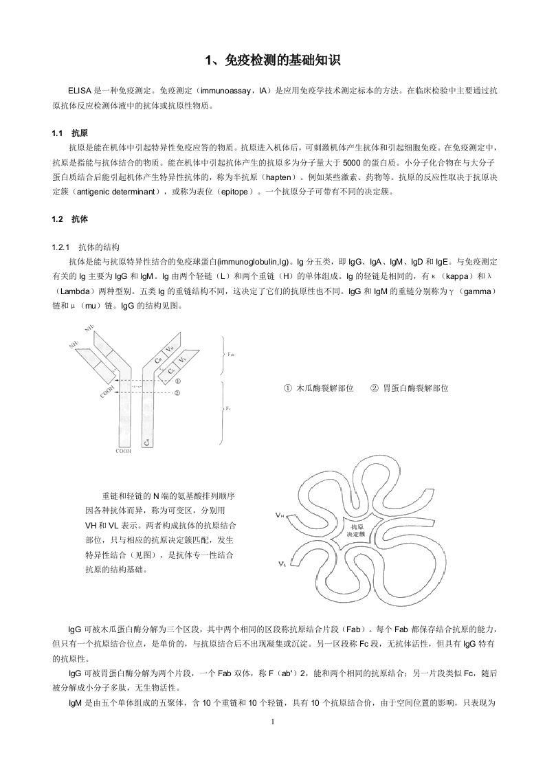 免疫检测的基础知识.doc 第1页