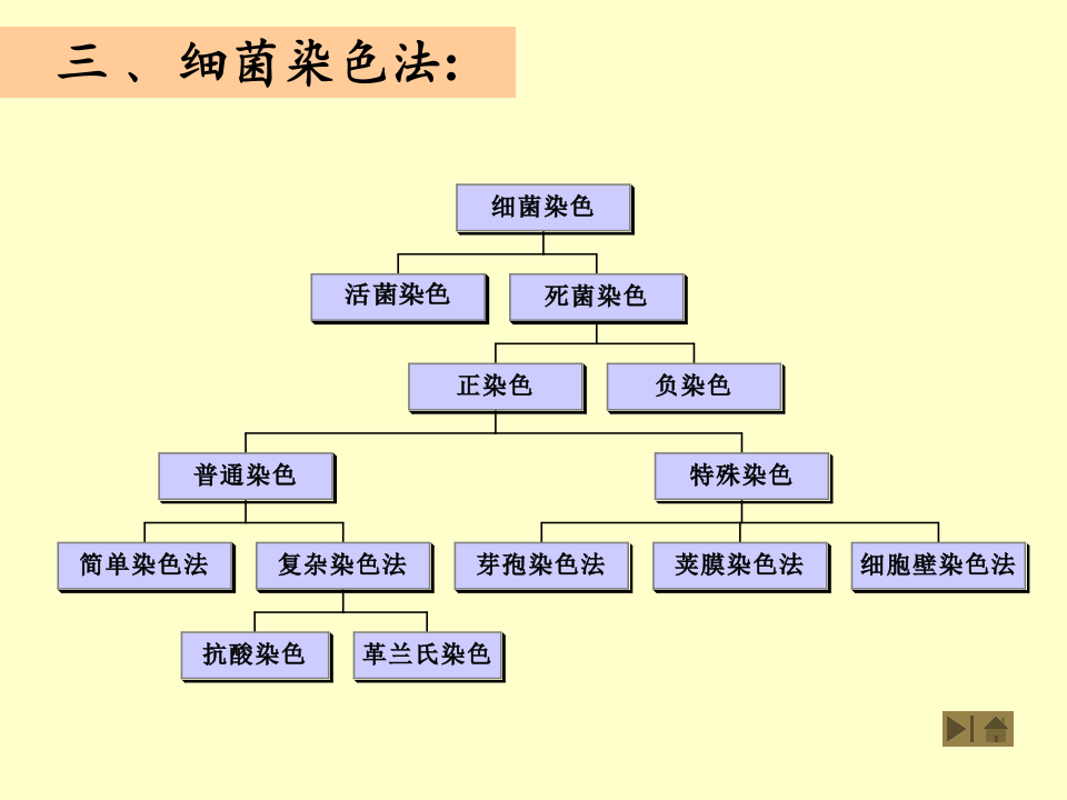 微生物学_3.ppt 第1页