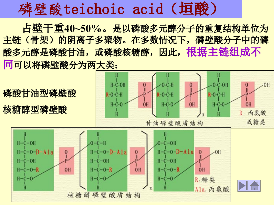 微生物学_5.ppt 第2页