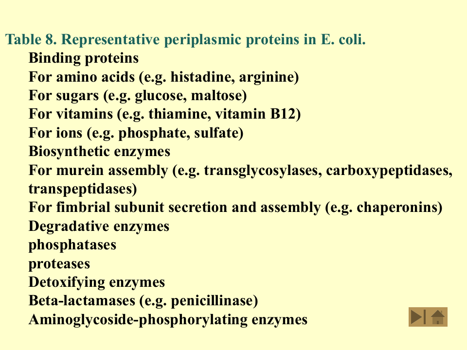 微生物学_6.ppt 第5页