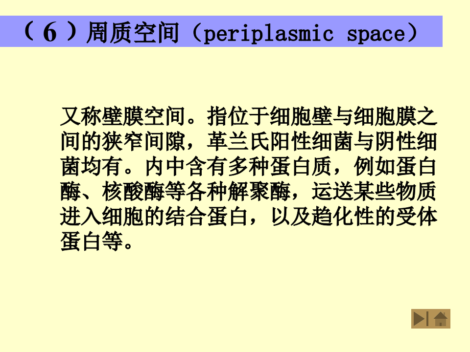 微生物学_6.ppt 第4页