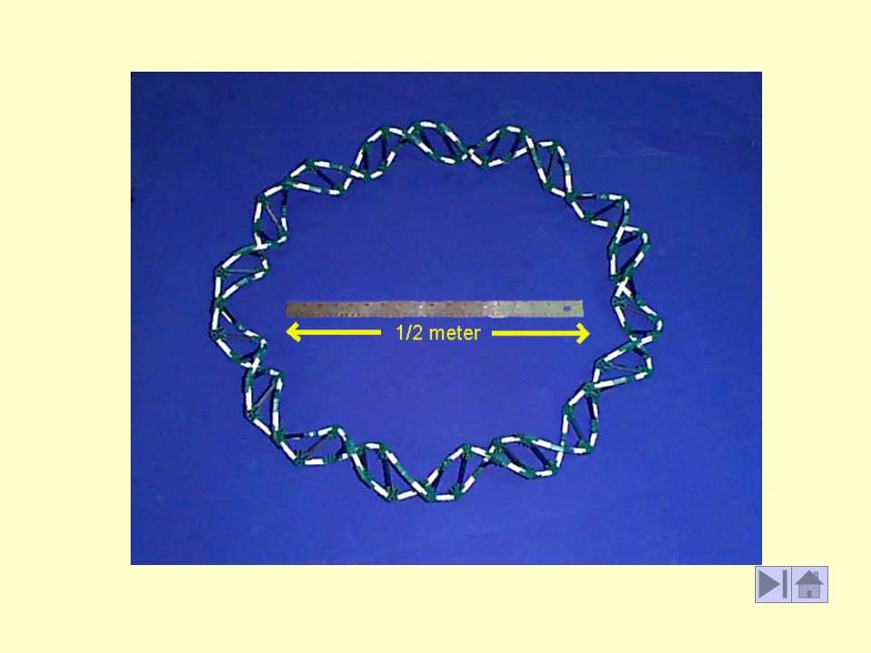 微生物学_7.ppt 第4页