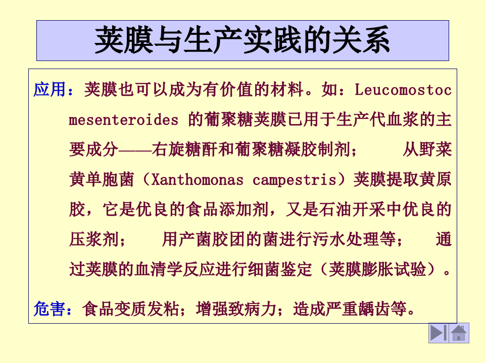 微生物学_8.ppt 第5页