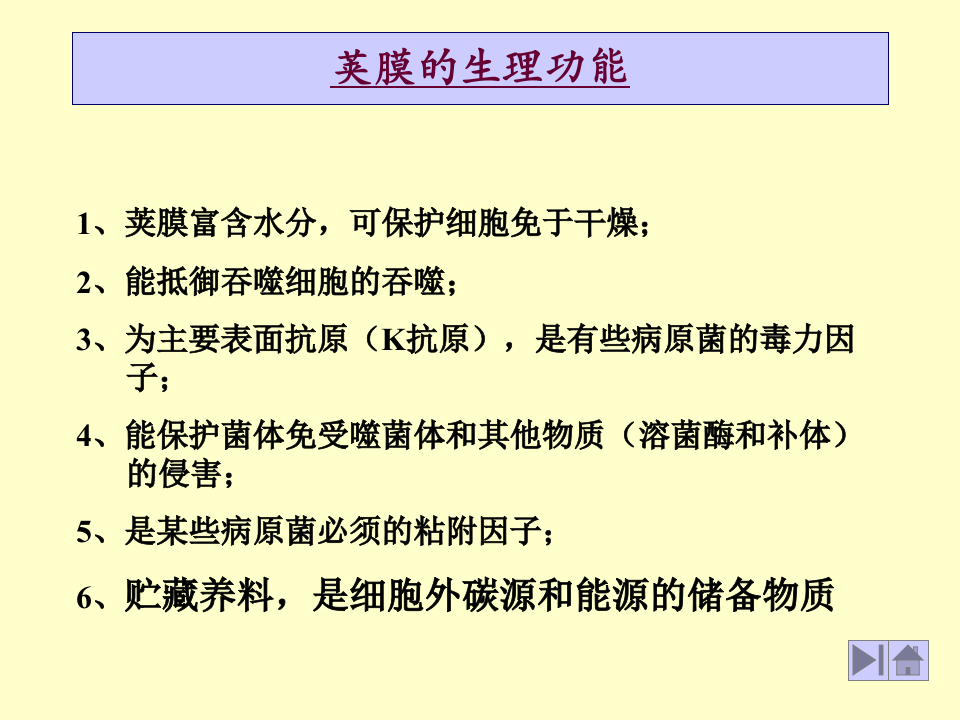 微生物学_8.ppt 第4页