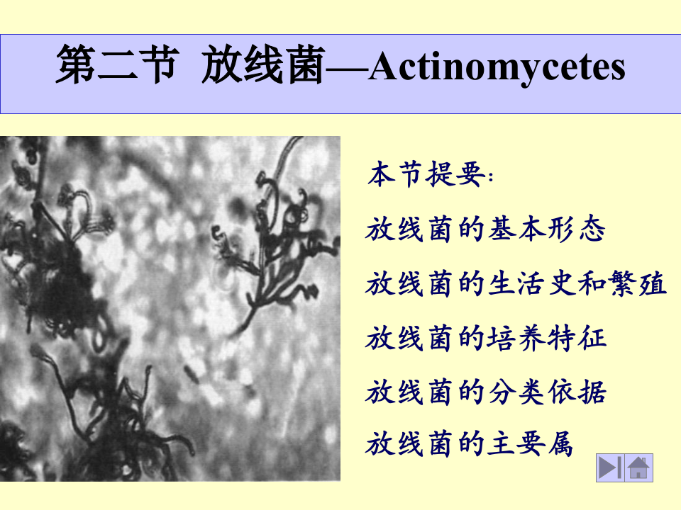 微生物学_10.ppt 第1页