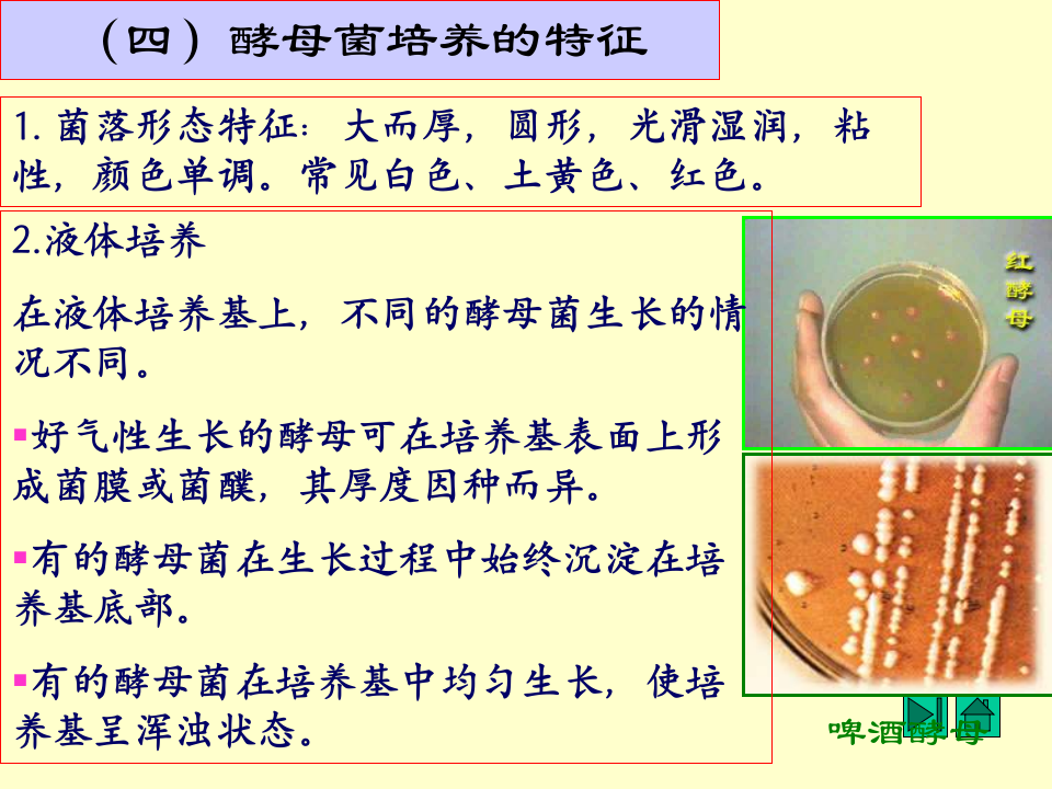 微生物学_14.ppt 第1页