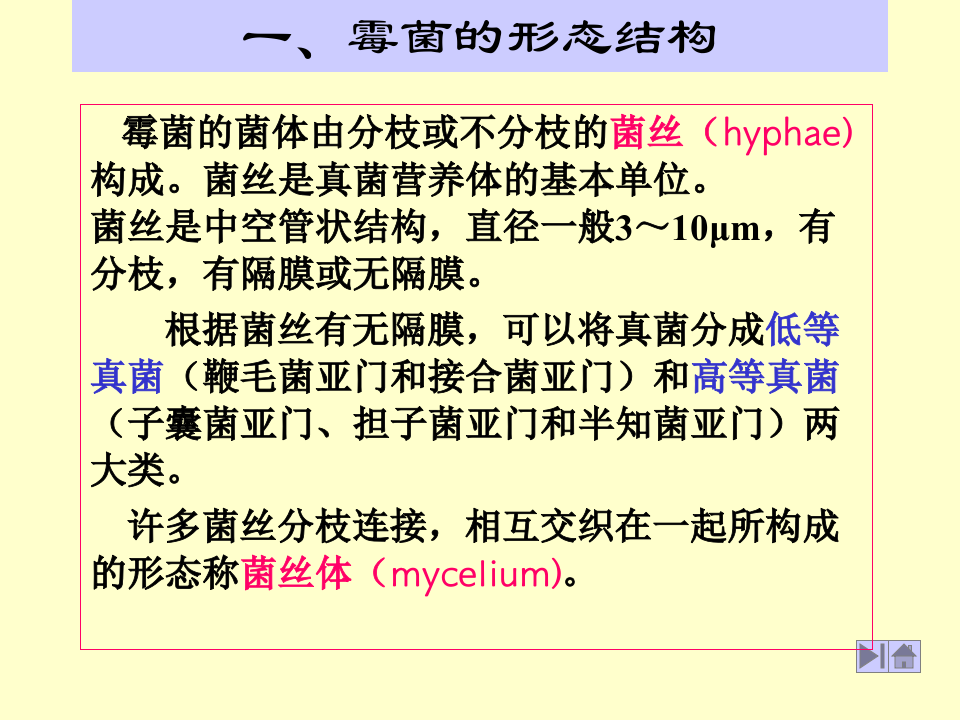 微生物学_15.ppt 第2页