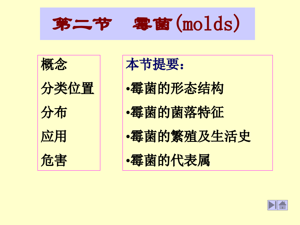 微生物学_15.ppt 第1页