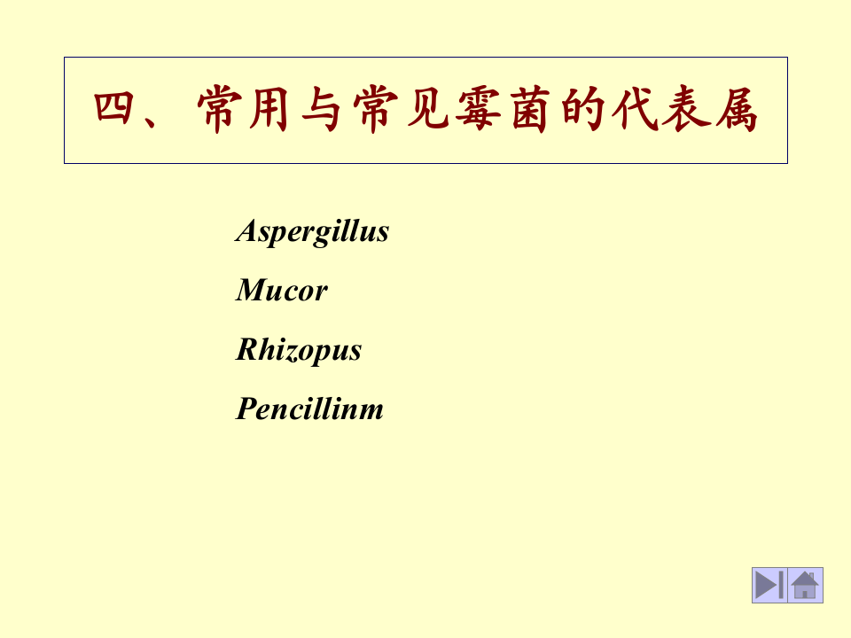 微生物学_17.ppt 第1页