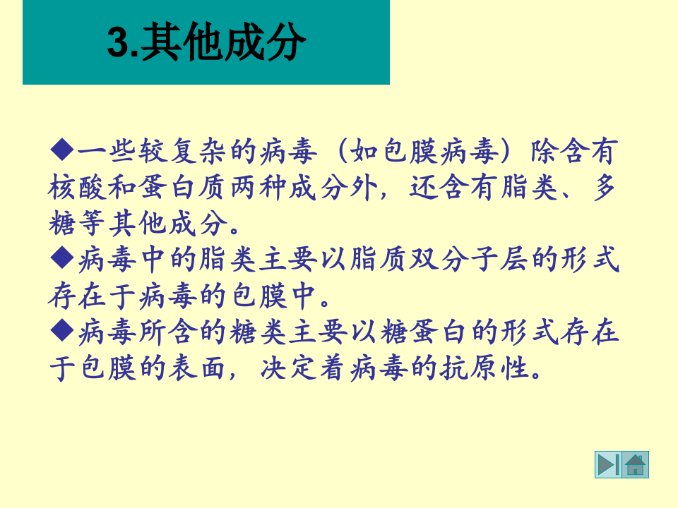 微生物学_20.ppt 第5页