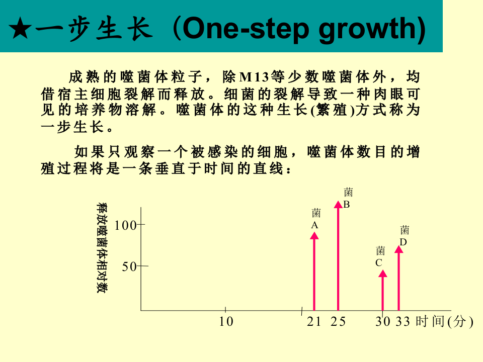 微生物学_23.ppt 第2页