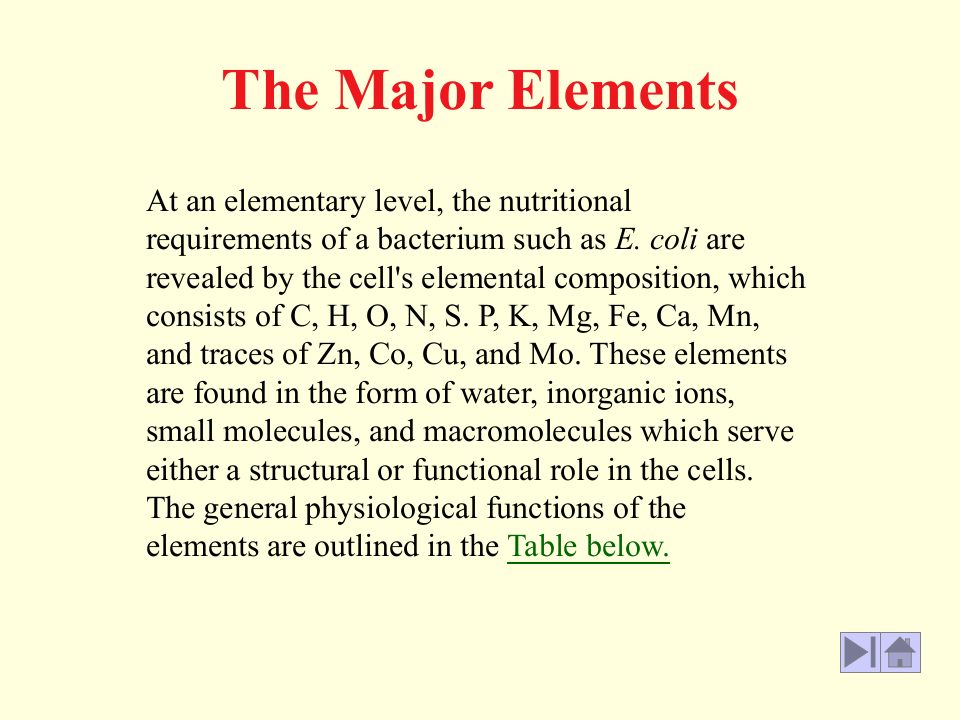 微生物学_24.ppt 第4页